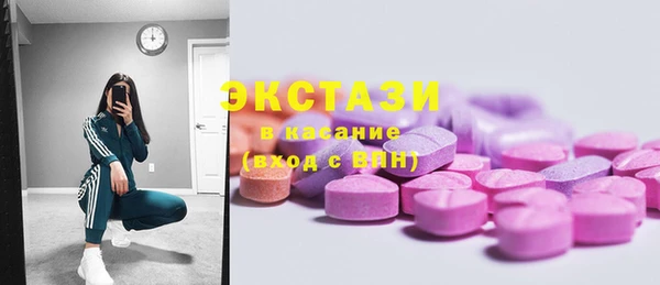 ECSTASY Богданович